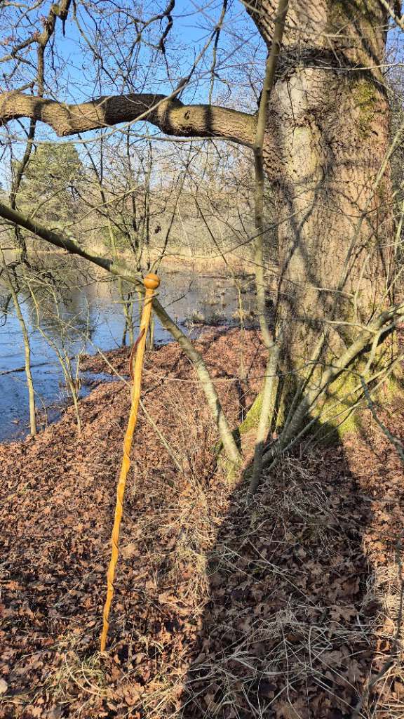 De pelgrimsstok onder de boom waar zijn ouders zijn uitgestrooid.