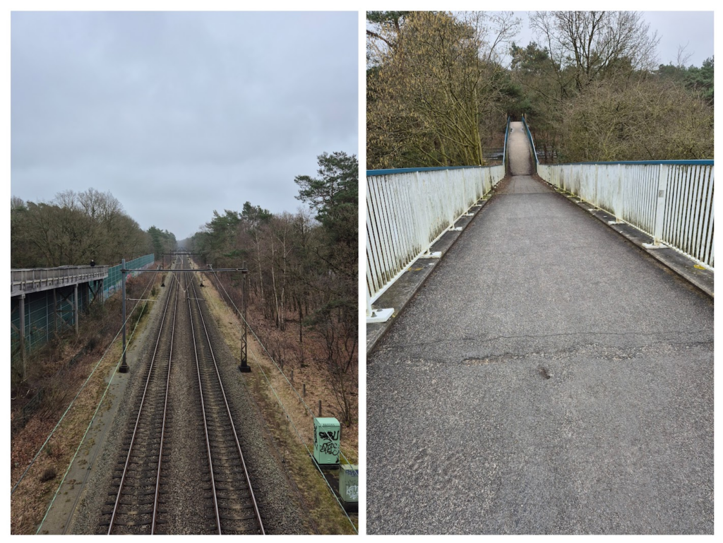 Fietsbrug Harderwijker bossen